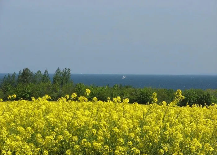 Windrose App303 Howido - Abc612 - Nur Feriengäste Apartment